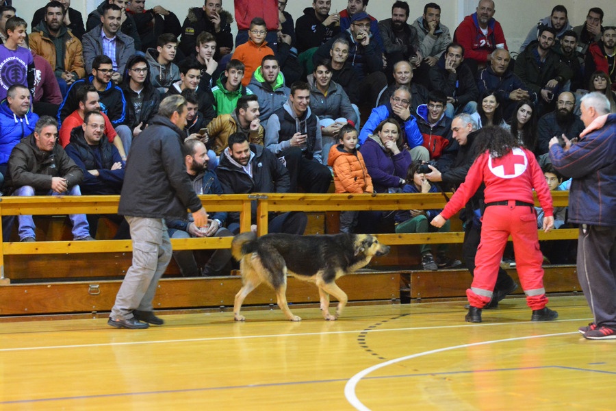 ΕΣΚΑΚ: Σκύλος διέκοψε αγώνα (photos)