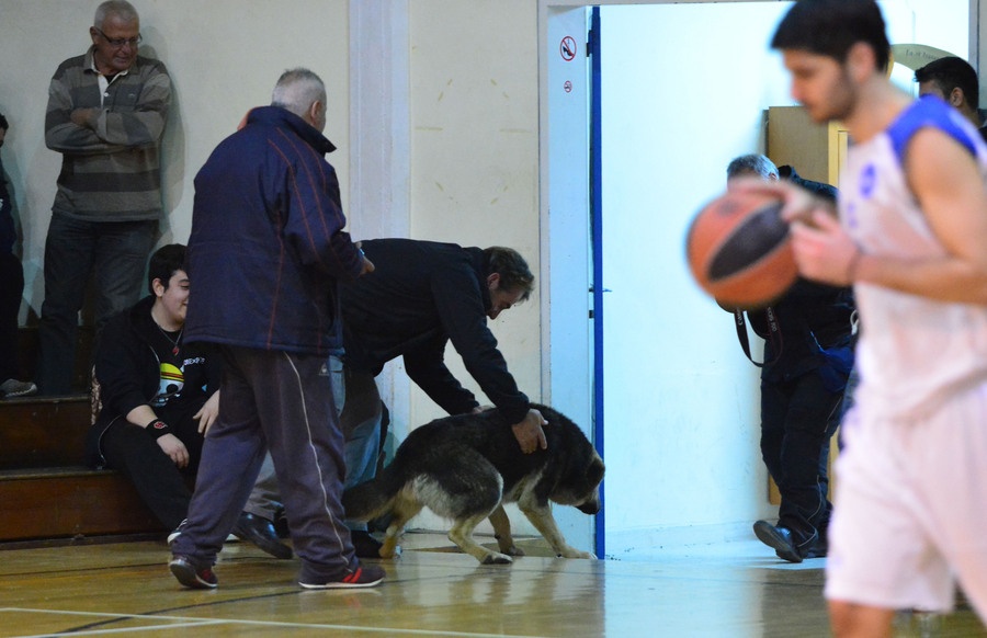 ΕΣΚΑΚ: Σκύλος διέκοψε αγώνα (photos)