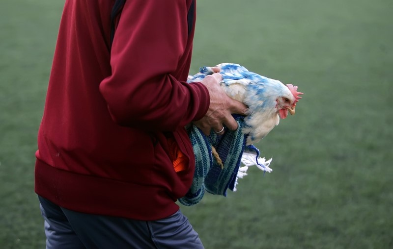 Ανασκόπηση: Οι… περίεργες φωτογραφίες του 2014! (photos)