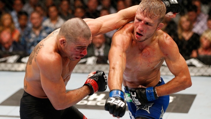 Ανασκόπηση 2014: «Ήλθε» ο Werdum