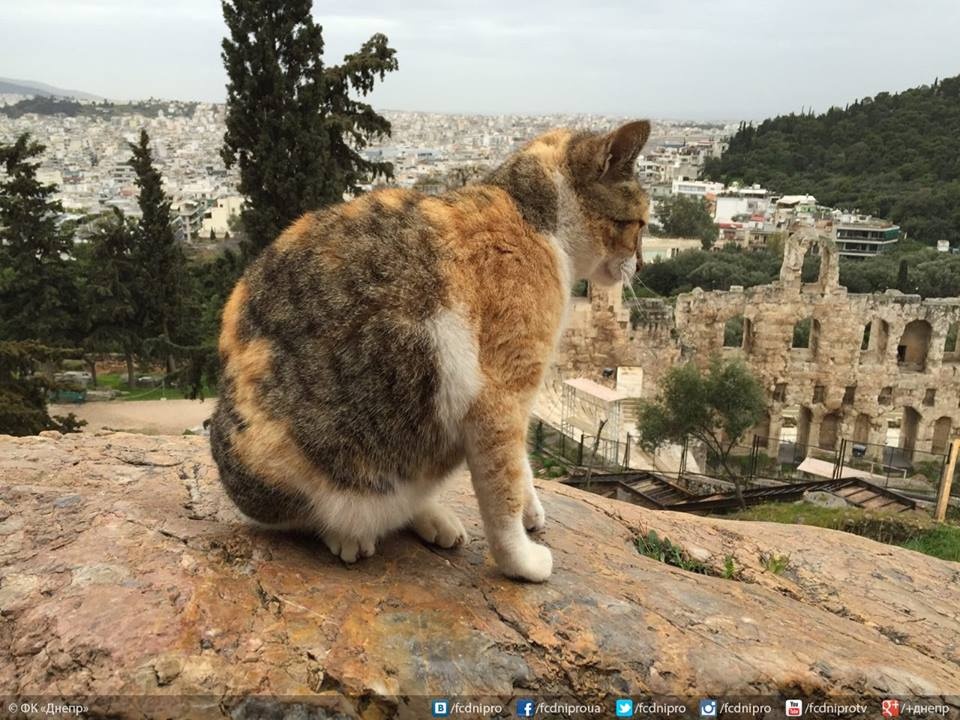 Ντνίπρο: Δεν άφησαν... αξιοθέατο για αξιοθέατο στην Αθήνα (photos)