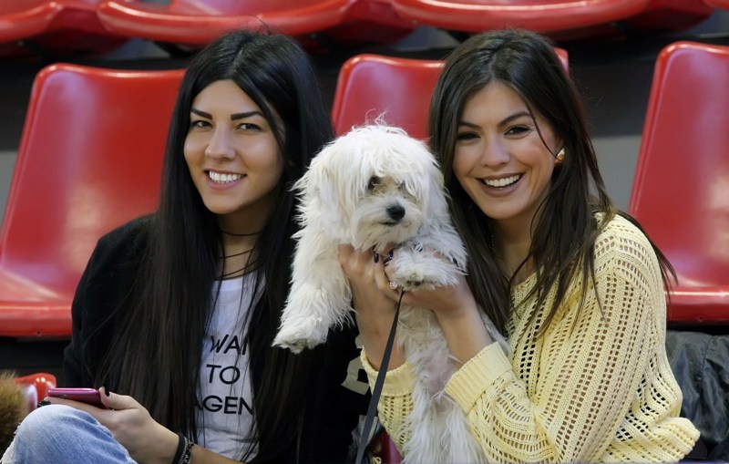 Basket League: Ωραίο θέαμα και στις κερκίδες (photos)