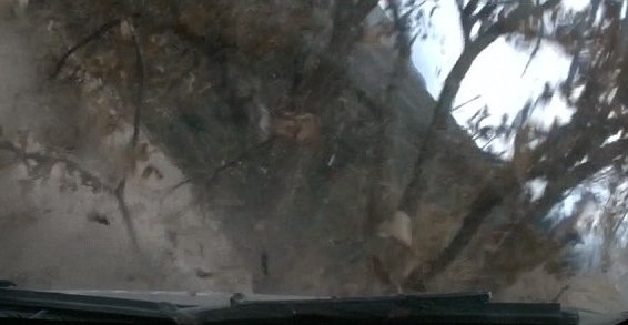 WRC: Τρομακτικά ατυχήματα στο Μεξικό (photos+videos)