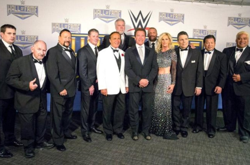 WWE: Γιορτινό Hall of Fame (photos+videos)