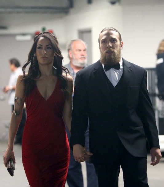 WWE: Γιορτινό Hall of Fame (photos+videos)
