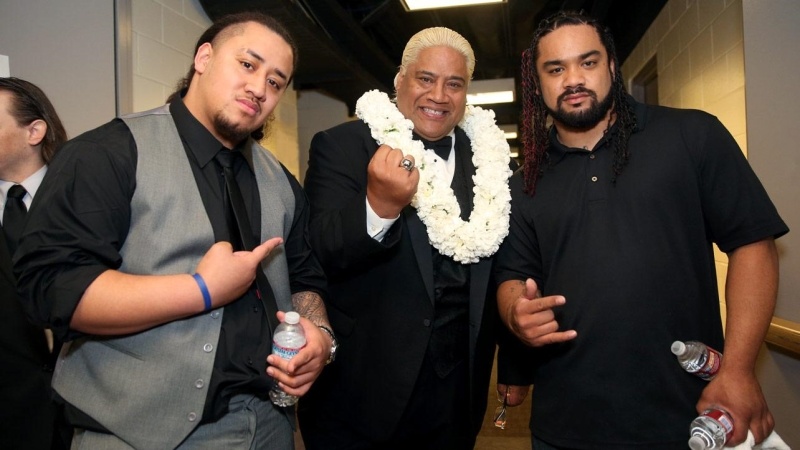 WWE: Γιορτινό Hall of Fame (photos+videos)