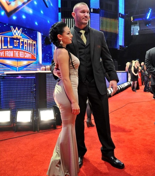 WWE: Γιορτινό Hall of Fame (photos+videos)