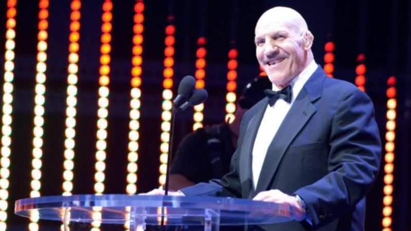 WWE: Γιορτινό Hall of Fame (photos+videos)