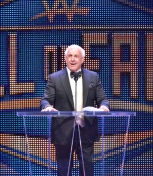 WWE: Γιορτινό Hall of Fame (photos+videos)
