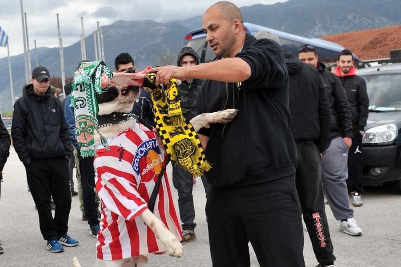 Ολυμπιακός: Υποδοχή και αποθέωση στα Γιάννενα (photos)