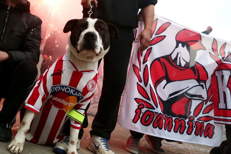 Ολυμπιακός: Υποδοχή και αποθέωση στα Γιάννενα (photos)