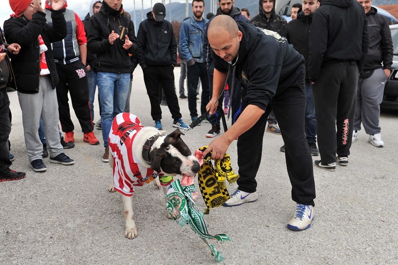 Ολυμπιακός: Υποδοχή και αποθέωση στα Γιάννενα (photos)