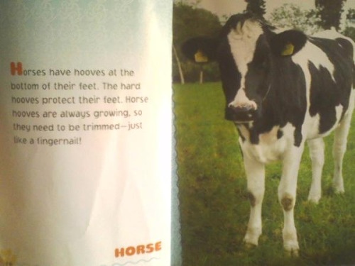 You had one job… (photos)