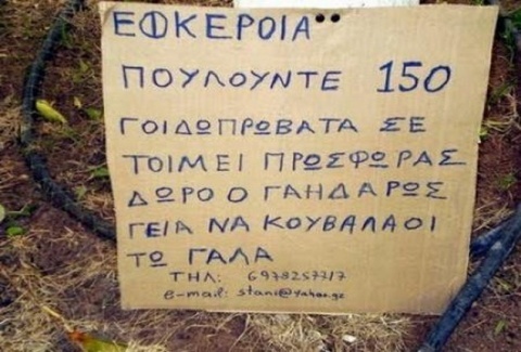 Αυτά τα βλέπεις μόνο στην Ελλάδα! (photos)