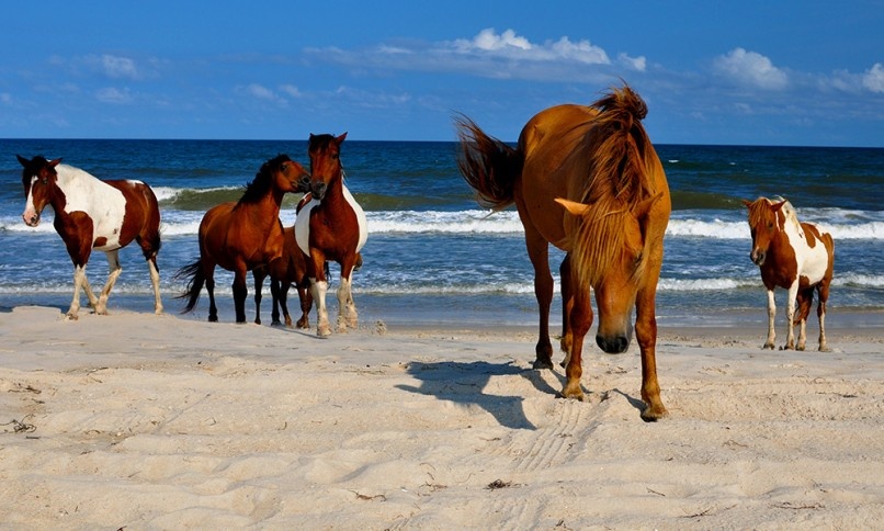 Οι 18 καλύτερες παραλίες του κόσμου! (photos)