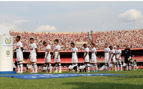 Με σκυλιά αντί για παιδιά η Σάο Πάολο! (photos+video)