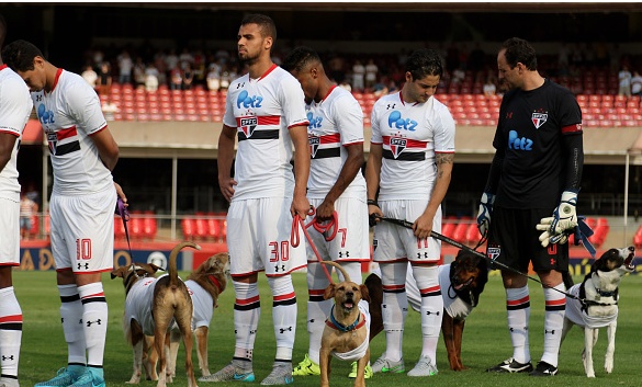 Με σκυλιά αντί για παιδιά η Σάο Πάολο! (photos+video)