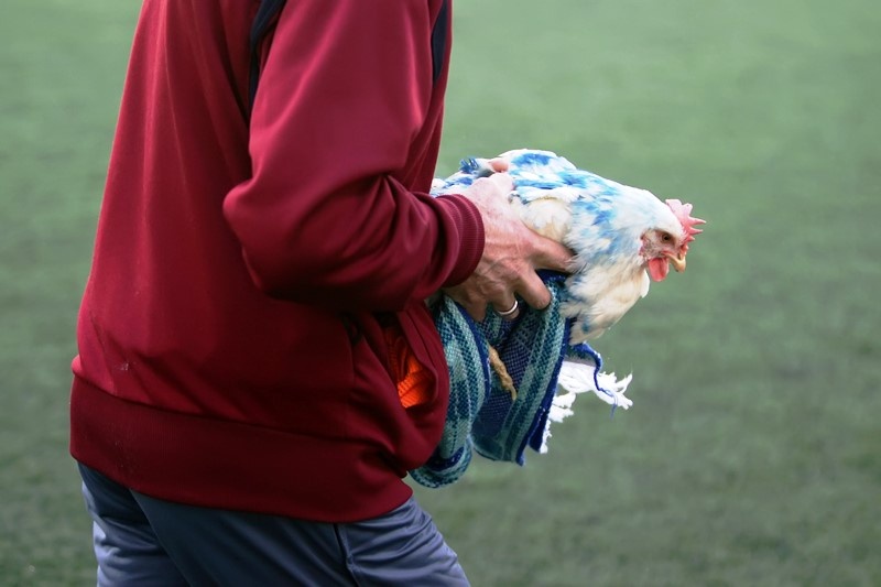 Μεγάλες έχθρες: Ιωνικός vs Προοδευτική! (photos+videos)