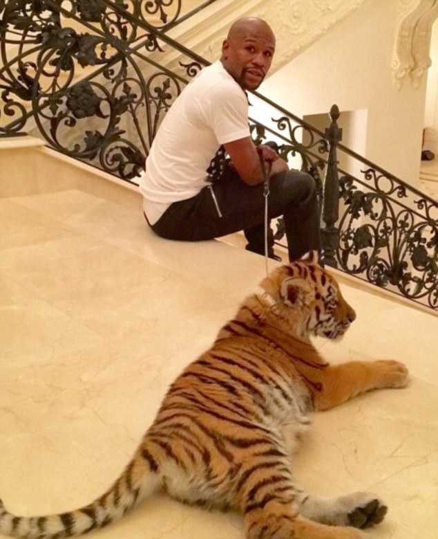 Το… κατοικίδιο του Mayweather! (photos)