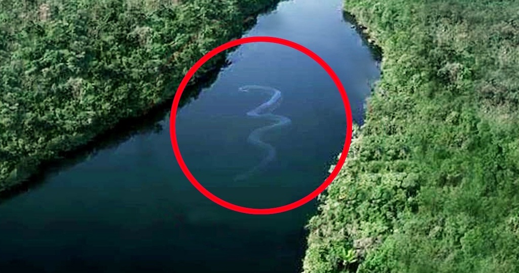 Σίγουρα θα αναθεωρήσετε το κολύμπι στα βαθιά μετά από αυτές τις φωτογραφίες! (photos)