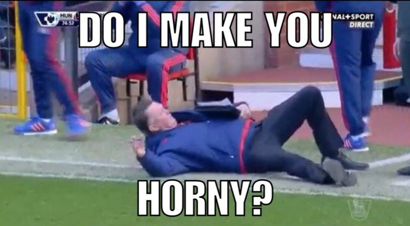 Τρελάθηκε το διαδίκτυο με την… πτώση του Φαν Χάαλ! (photos+videos)