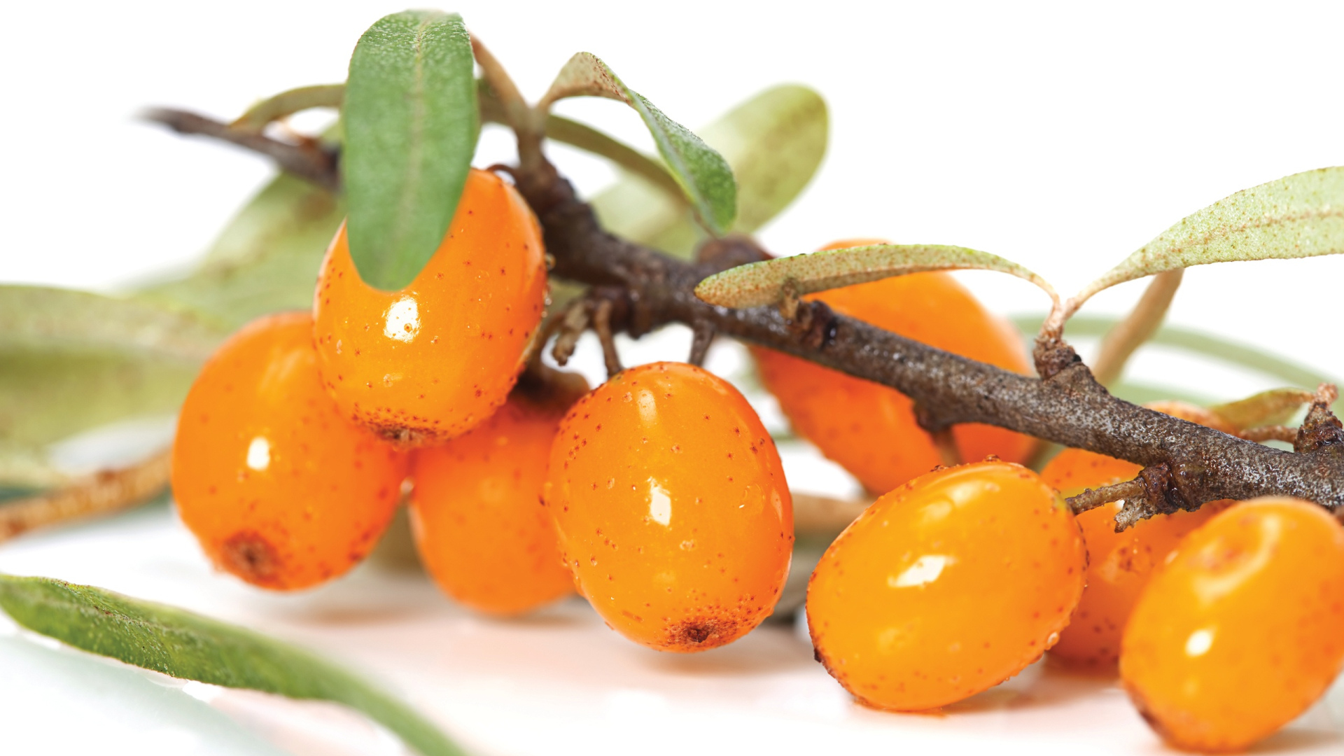 «Αντοχή» και δύναμη απευθείας από τη φύση!