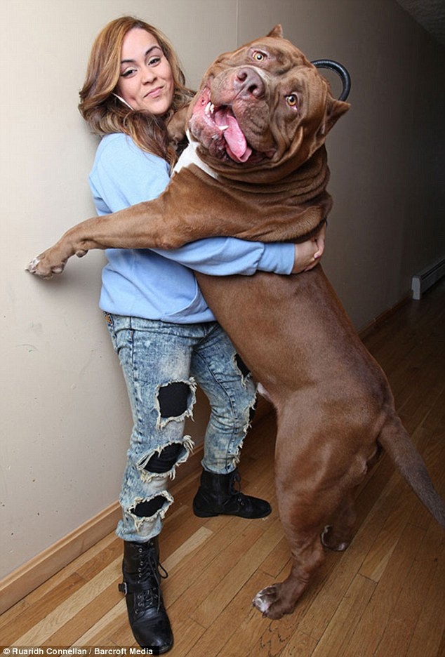 Πάρτε ένα... σκυλάκι για συντροφιά! (photos, videos)