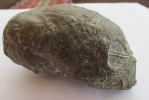 Απίστευτο! Κρανίο... εξωγήινου σε σπηλιά! (photos+video)