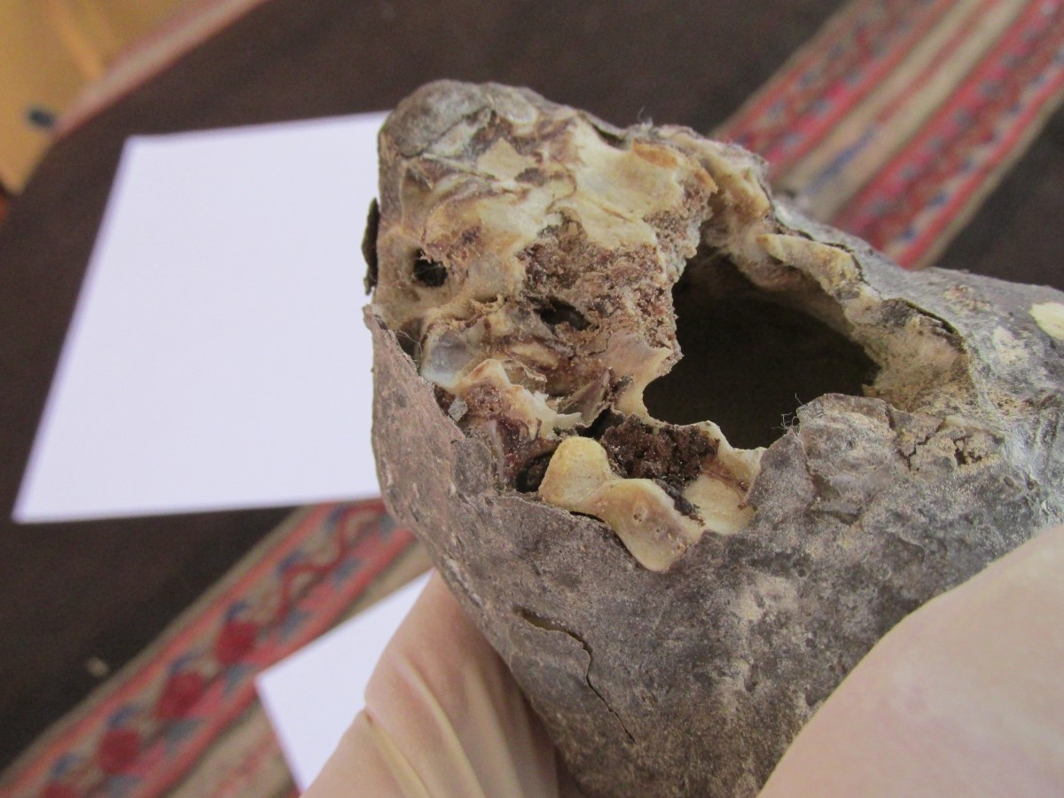 Απίστευτο! Κρανίο... εξωγήινου σε σπηλιά! (photos+video)