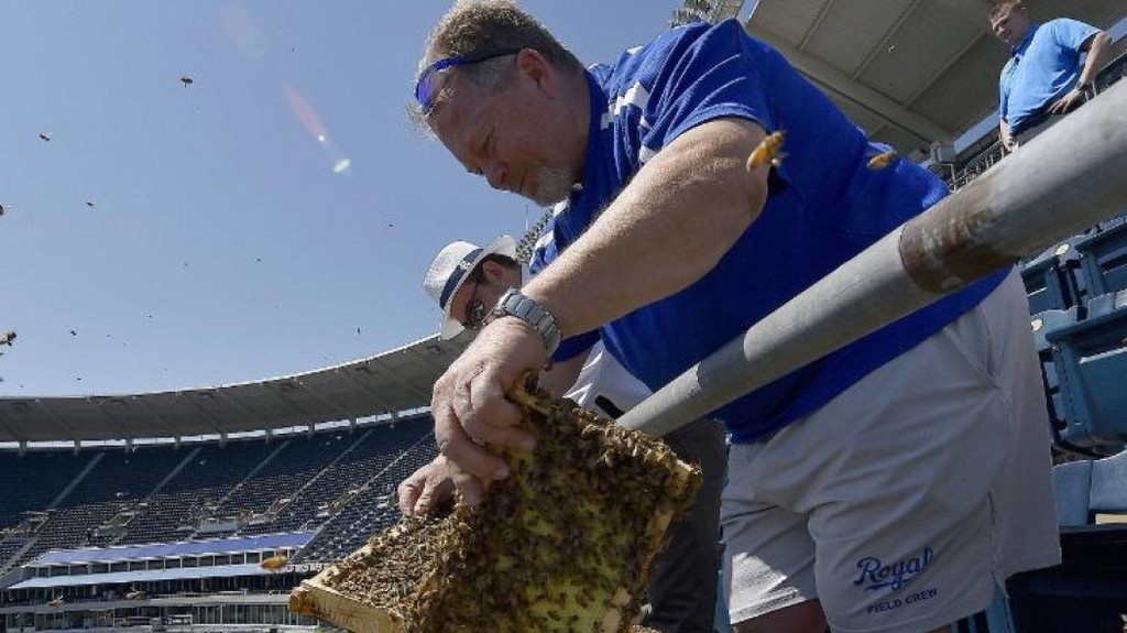 Επίθεση σε οπαδούς στο γήπεδο! Από τι όμως…