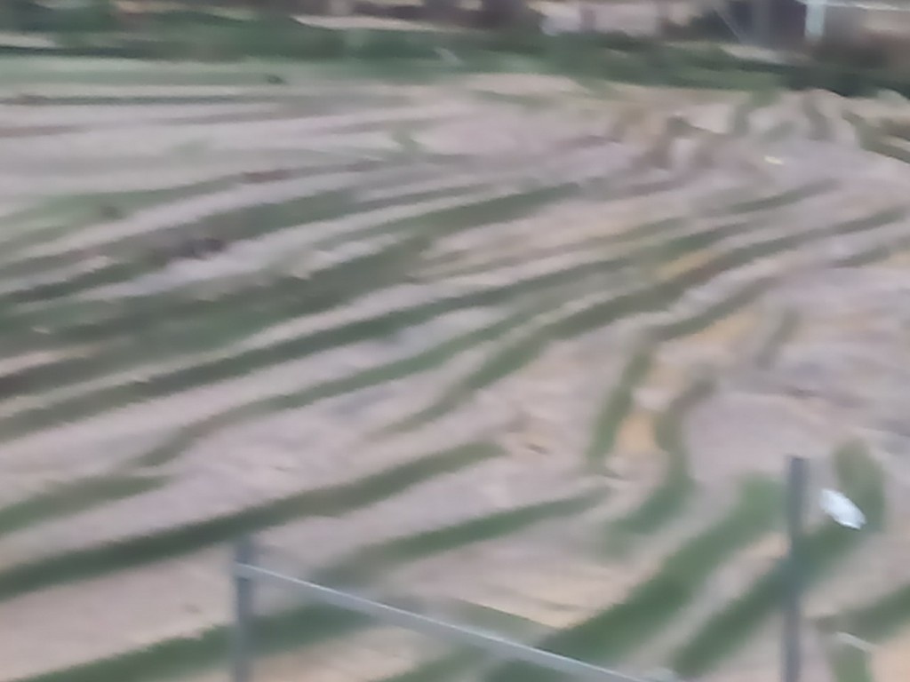 Αδιανόητο: Ο «Δαίδαλος» ξήλωσε ολόκληρο το γήπεδο στα Χανιά! (vid, pics)