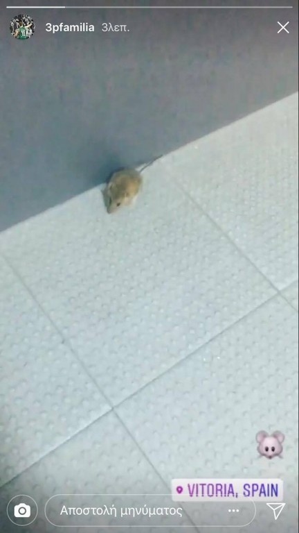 To ποντίκι του Παππά (vid)