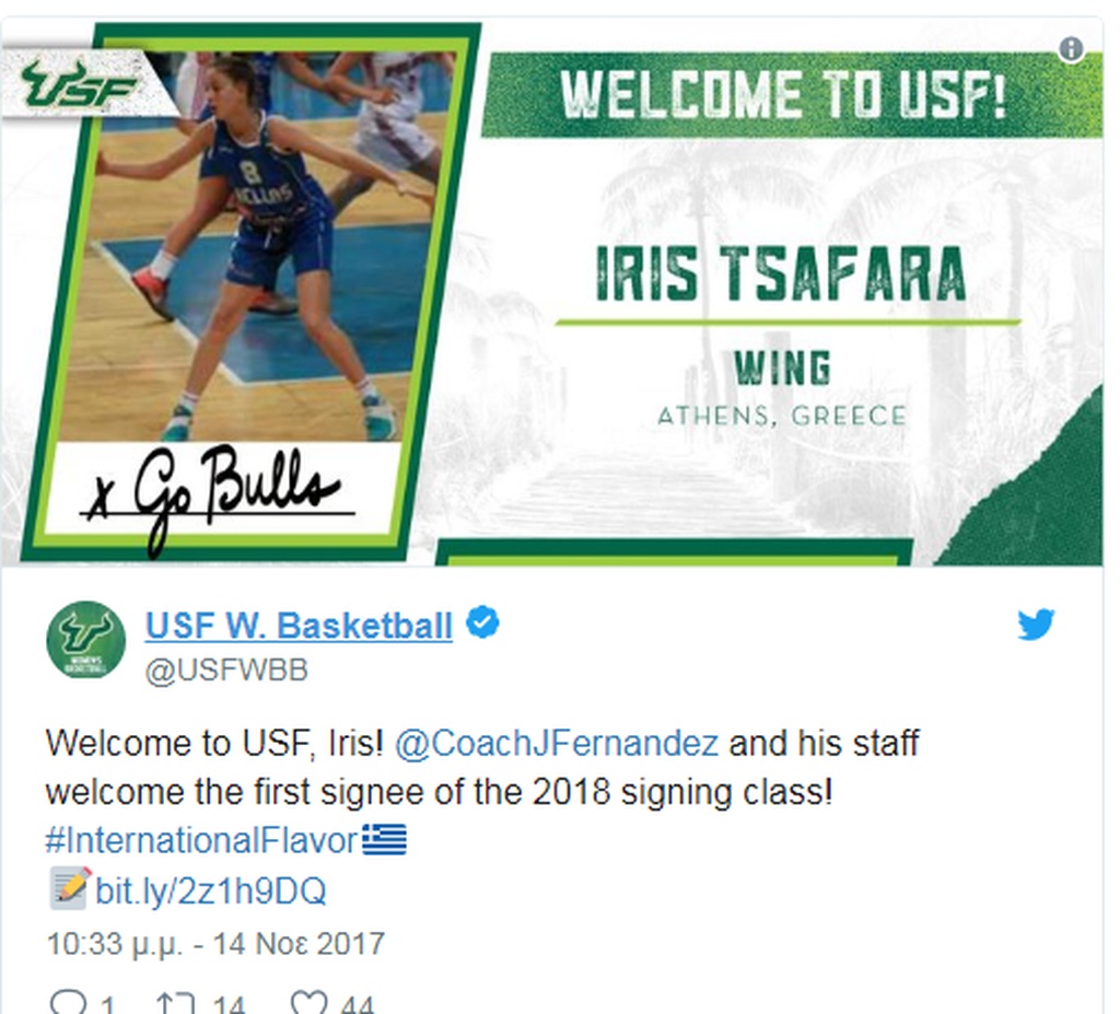 Αρχιτεκτόνισσα του… μπάσκετ