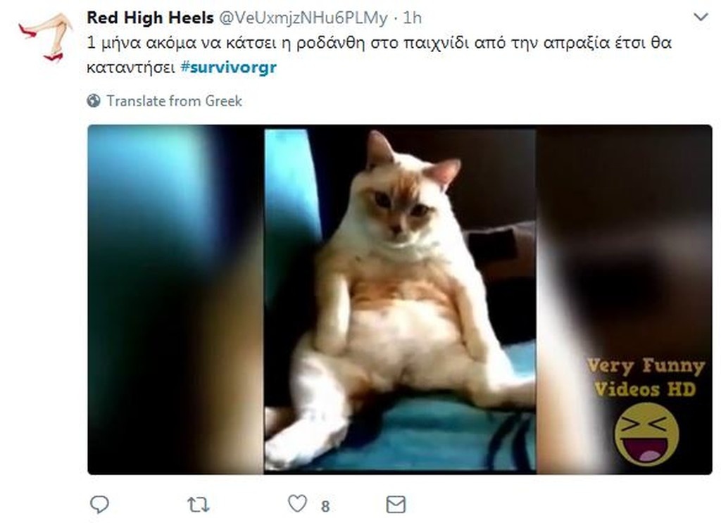 Survivor 2: Κλάμα στο Twitter με Τεό, Ηλία και τις κλίκες των «Μαχητών»! (photos)