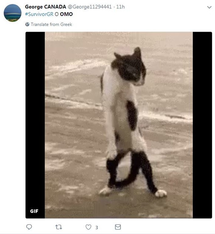 Survivor 2: Άγριο κράξιμο στο Twitter για Όμο! (photos)