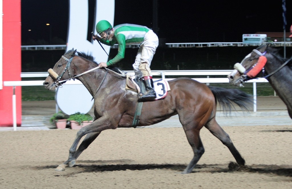 ΠΑΡΤΥ ΤΑΪΓΚΕΡ εναντίον ΠΟΕΤΙΚ ΓΚΕΣΤ σήμερα στο Μαρκόπουλο