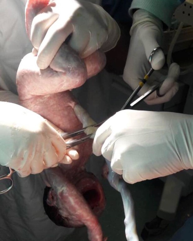 Έλληνας ποδοσφαιριστής έγινε για δεύτερη φορά μπαμπάς- Δείτε την φωτογραφία που δημοσίευσε