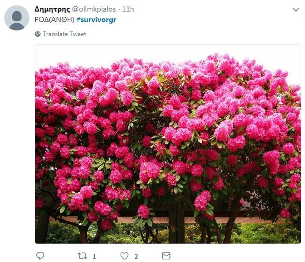 Survivor 2: Τρελό γλέντι στο Twitter για τις νέες διακοπές της Ροδάνθης (photos+tweets)