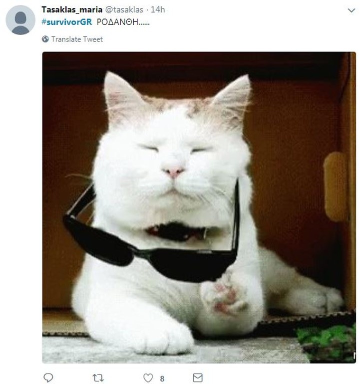 Survivor 2: Επικό τρολάρισμα στο Twitter για τους υποψήφιους προς αποχώρηση (photos+tweets)