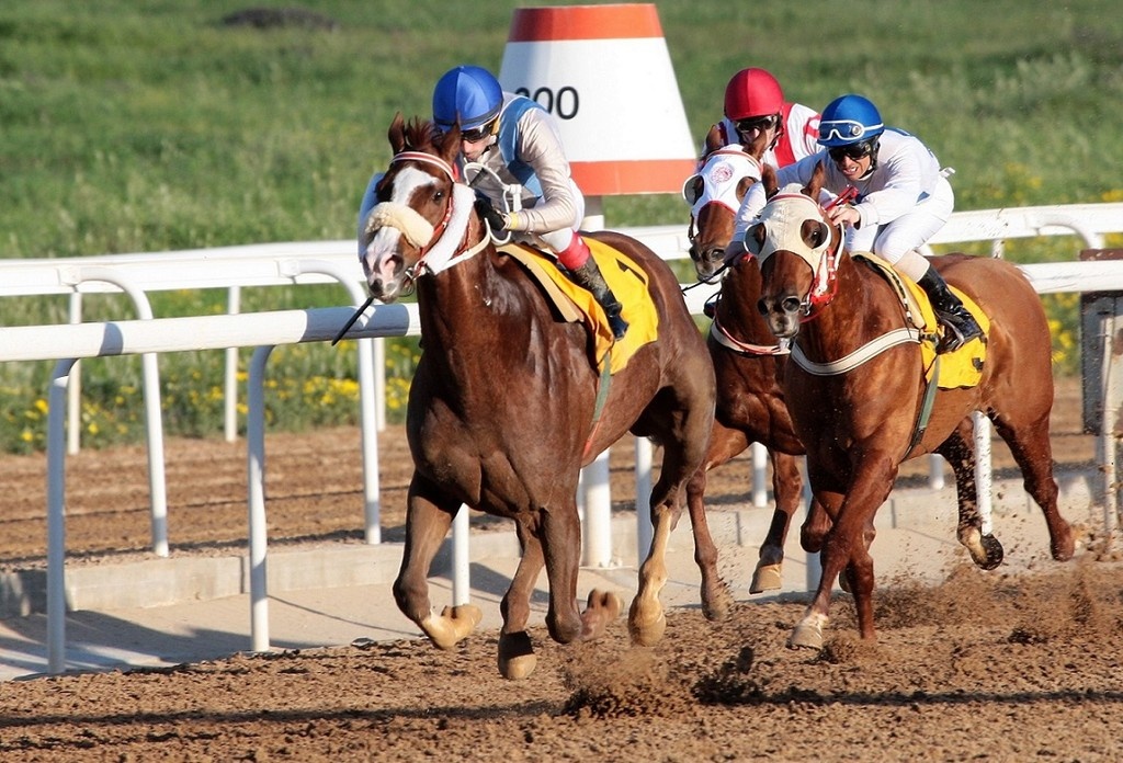Έρχονται το 72ο Ελληνικό Ντέρμπι και το Κύπελλο Λευκού Πύργου στον ιππόδρομο Αθηνών (photos)