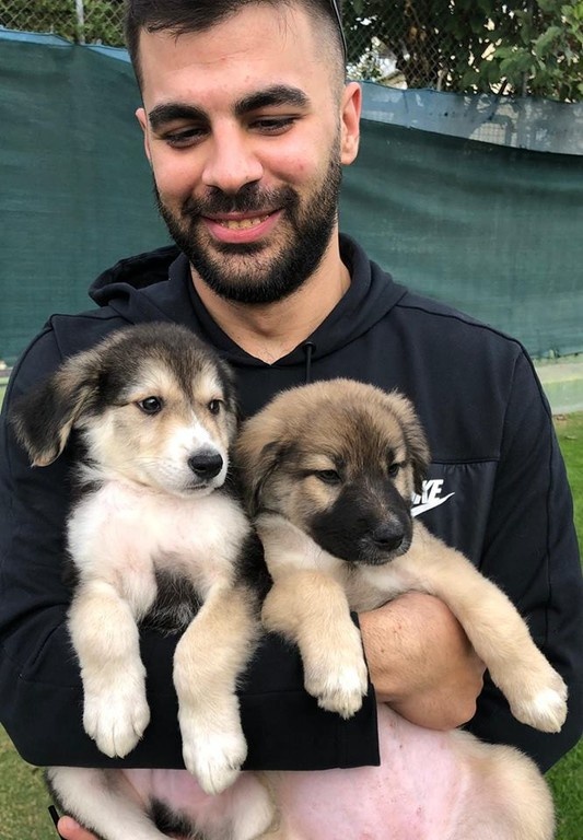 Ο Νταμίρ Κάναντι ψάχνει… σπίτι για αδέσποτα (photos)