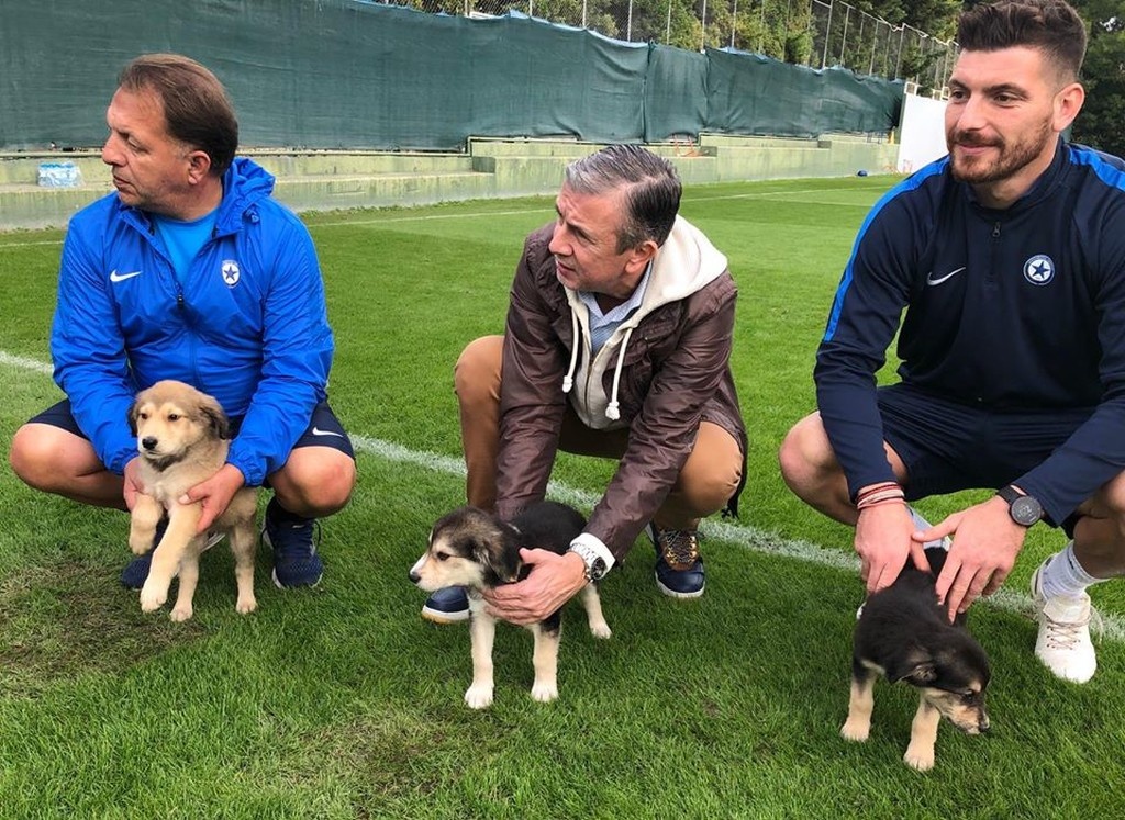 Ο Νταμίρ Κάναντι ψάχνει… σπίτι για αδέσποτα (photos)