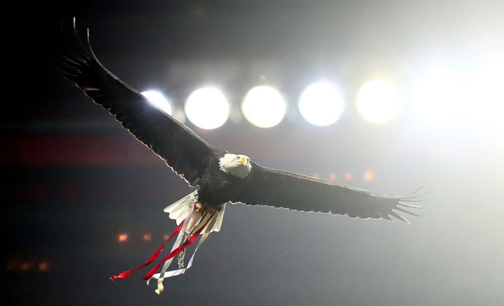 Μπενφίκα-ΑΕΚ: Μοναδική στιγμή στο «Ντα Λουζ» για τις πυρκαγιές στην Ελλάδα (photo)