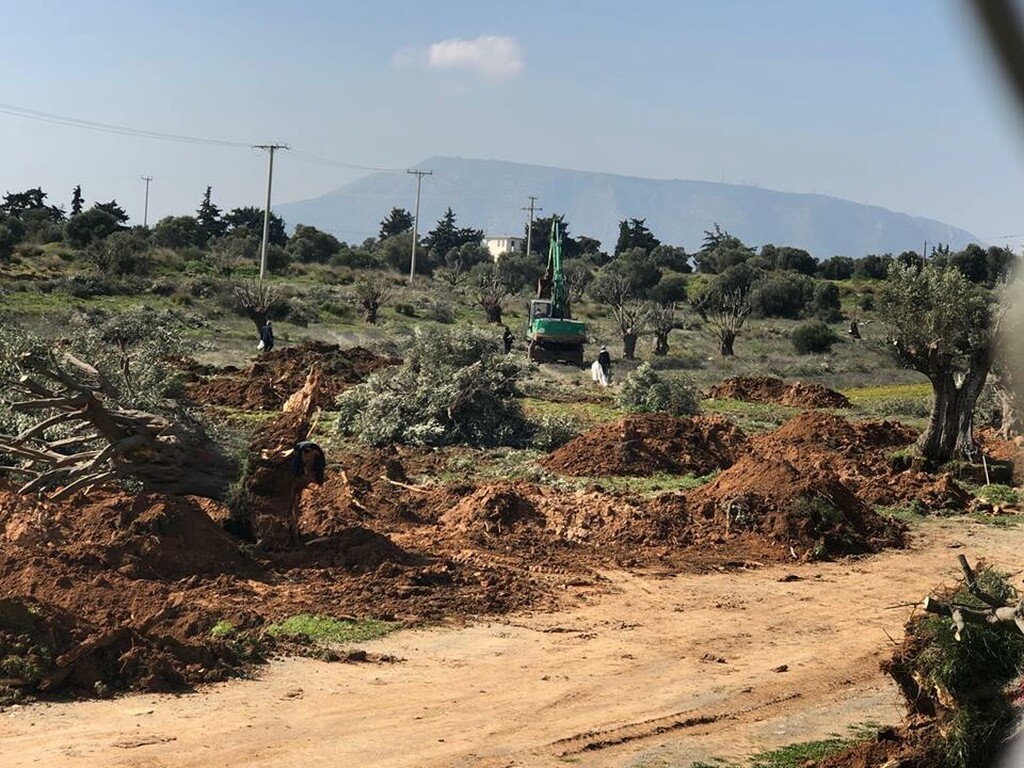 ΑΕΚ: Ξεκίνησαν τα έργα στα Σπάτα (photos)