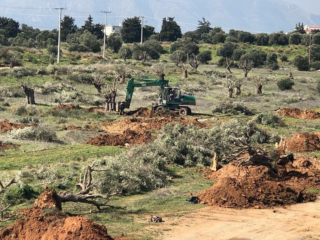 ΑΕΚ: Ξεκίνησαν τα έργα στα Σπάτα (photos)