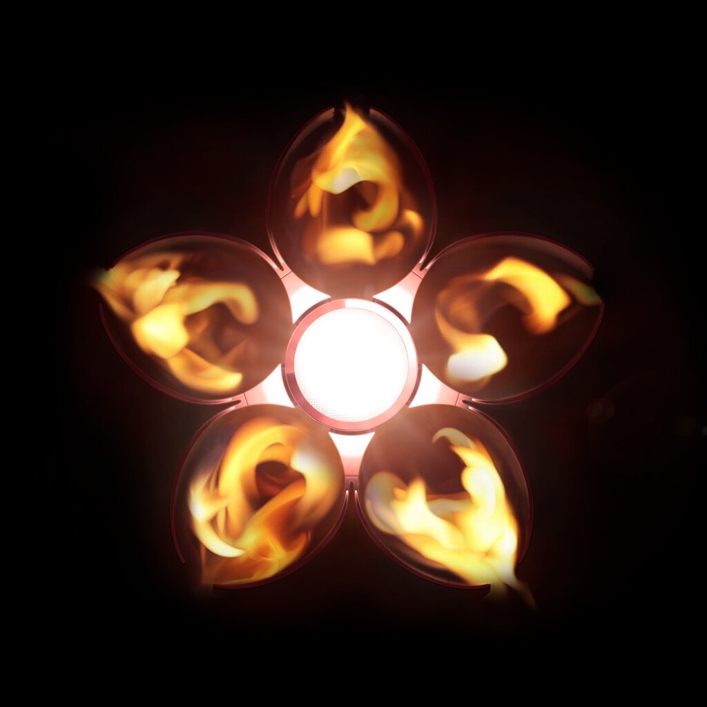 Αυτή είναι η δάδα των Παραολυμπιακών του 2020 (video+photos)