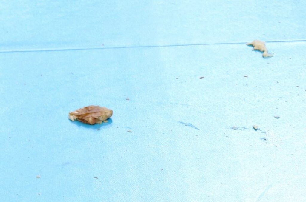 Απίστευτο: Πέταξαν ξανά μπουγάτσες οι οπαδοί του Ολυμπιακού (photos)