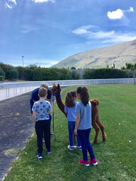 Ξεχωριστή Κυριακή στο Markopoulo Park με μεγάλα κέρδη