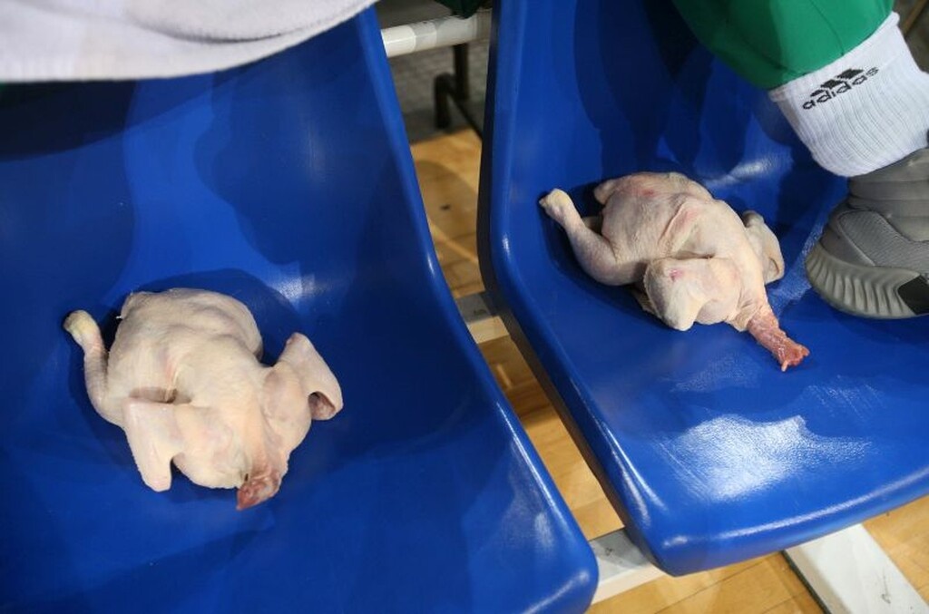 Λευκές πετσέτες και κοτόπουλα στον πάγκο του Ολυμπιακού (photos)