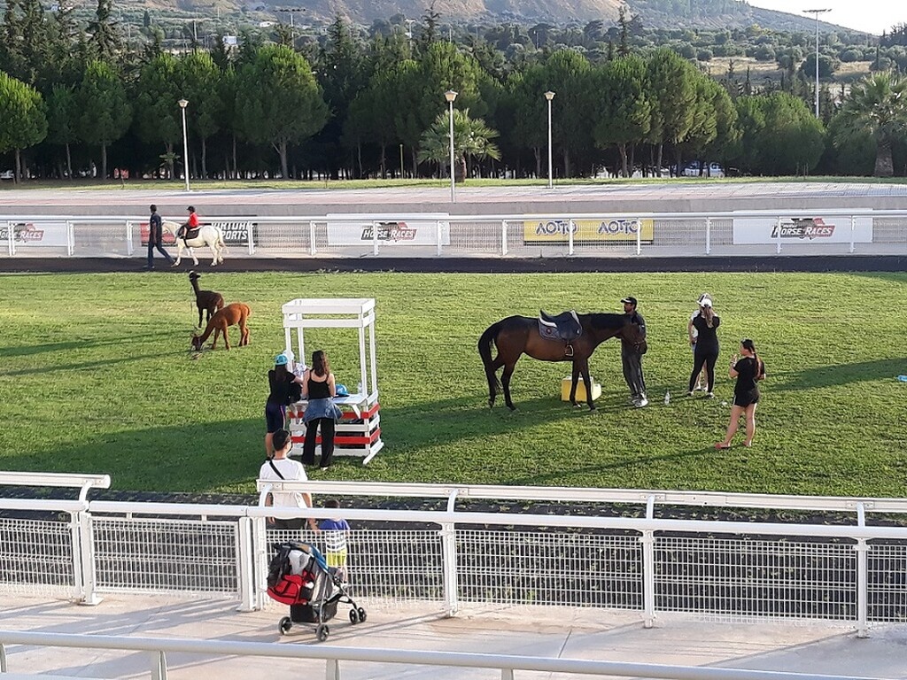 Πολλές είναι οι δραστηριότητες για τα παιδιά